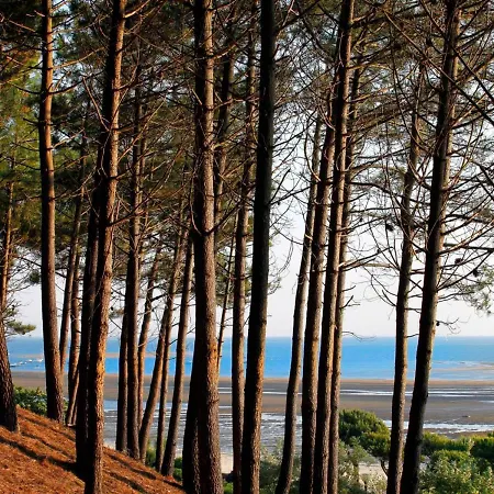 Сasa de vacaciones Maison Arcachon, 5 Pieces, 8 Personnes - Fr-1-420-123 *